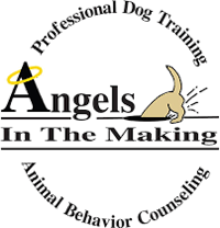 Angels in the Making logo